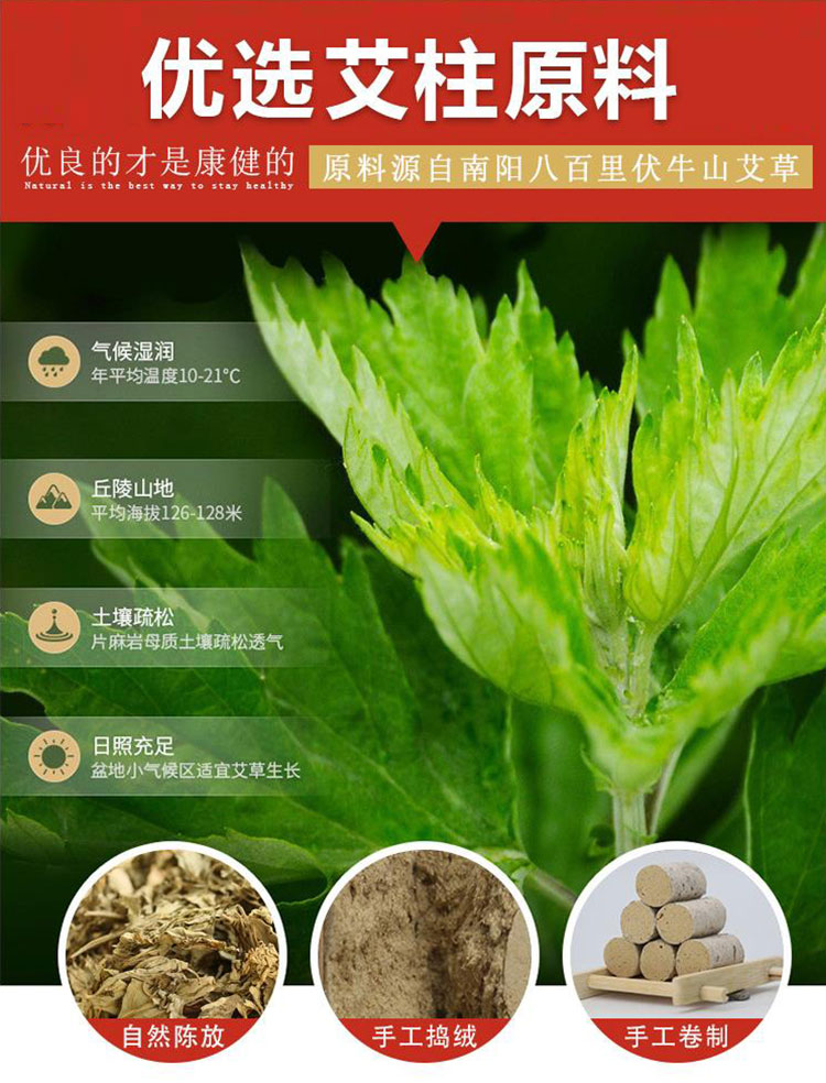 红花艾叶纸艾绒纸艾柱_艾灸段灸床柱_加工批发定制种种艾柱价钱 (8).jpg