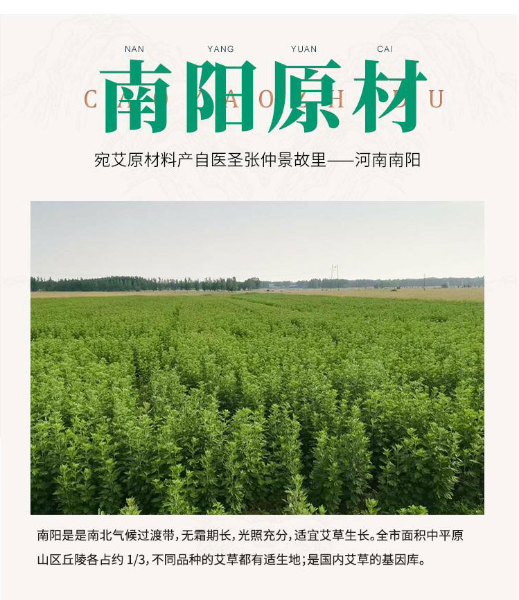 宛艾 纯艾叶艾绒艾柱 随身灸专用艾柱 家用艾柱正品 (4)宛艾陈艾柱原质料产自医圣张仲景家乡.jpg